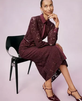 Ann Taylor Dresses|Belted Lace Midi Shirtdress Poised Plum