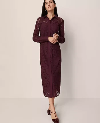 Ann Taylor Dresses|Belted Lace Midi Shirtdress Poised Plum