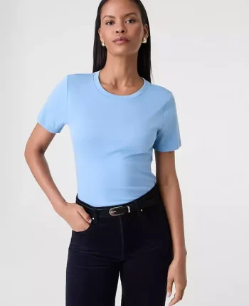 Ann Taylor Tops And Blouses|Crew Neck Tee Light Blue Dusk