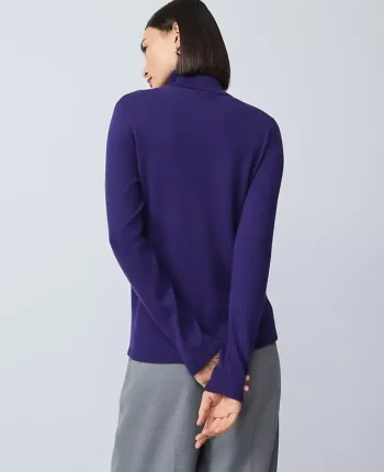 Ann Taylor Sweaters|All Sweaters|Essential Turtleneck Sweater Midnight Mulberry