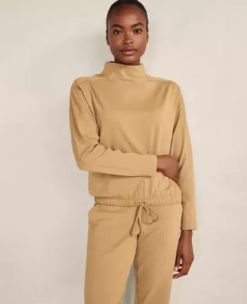Ann Taylor All Weekend|Haven Well Within Balance Funnel Neck Top Tigers Eye