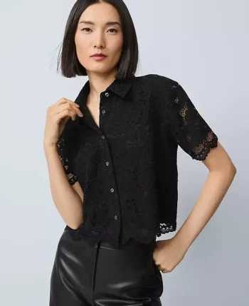 Ann Taylor Tops And Blouses|Lace Modern Blouse Black