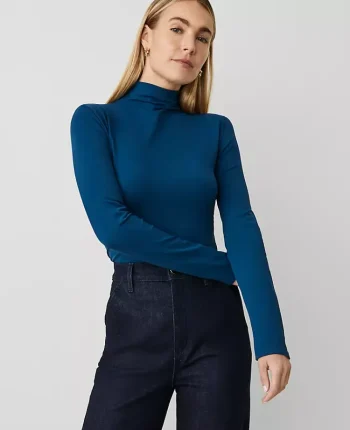 Ann Taylor Tops And Blouses|Long Sleeve Mock Neck Top Sea Storm