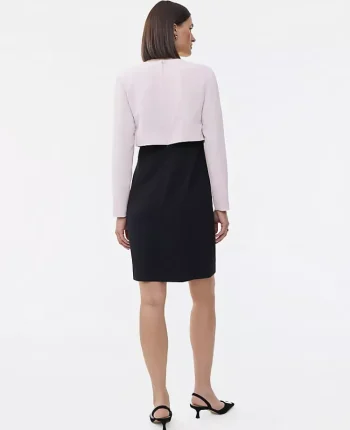 Ann Taylor Petite Dresses|Petite Suits|Petite Colorblock Crew Neck Shift Dress Ivory Whisper