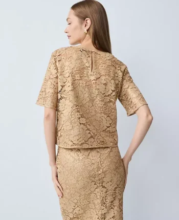 Ann Taylor Tops And Blouses|Petite Lace Blouse Gold Lace