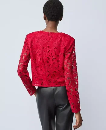 Ann Taylor Tops And Blouses|Petite Lace Crew Neck Blouse Jewel Red