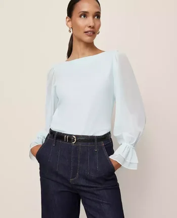 Ann Taylor Tops And Blouses|Petite Mixed Media Pleated Sleeve Top Glass Slipper