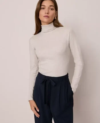 Ann Taylor Petite Weekend|Petite Weekend|Petite Weekend Collection Turtleneck Top Pale Sand Heather