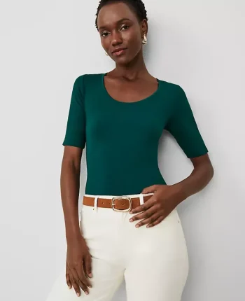 Ann Taylor Tops And Blouses|Scoop Neck Elbow Sleeve Tee Rainforest