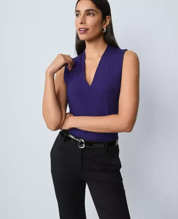 Ann Taylor Tops And Blouses|Sleeveless V-Neck Top Midnight Mulberry