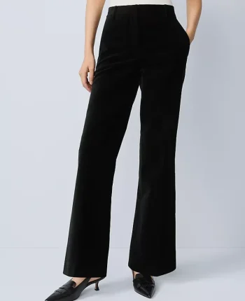 Ann Taylor Pants|The Jayne Trouser In Velvet Black