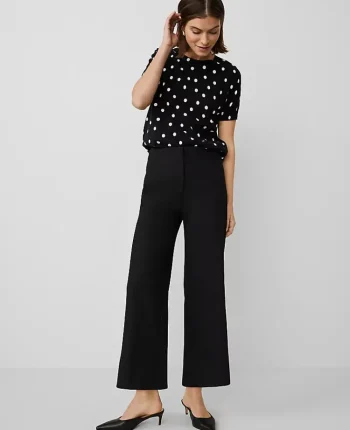 Ann Taylor Petite Pants|The Petite Grace Straight Pant Black