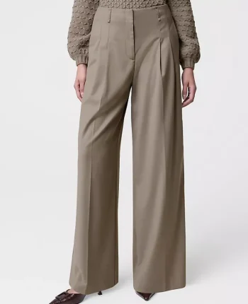 Ann Taylor Pants|The Pleated Wide-Leg Pant Dried Moss