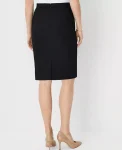 the-seamed-pencil-skirt-in-bi-qeyltcyu-0.webp