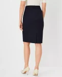 the-seamed-pencil-skirt-in-sea-cwhqWiNN-0.webp