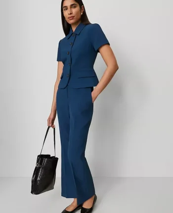 Ann Taylor Pants|The Tall Flare Ankle Pant In Fluid Crepe Moonlit Backdrop