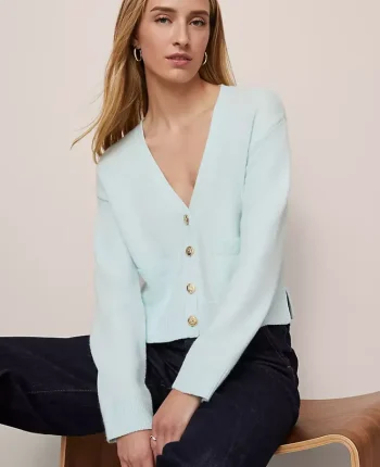 Ann Taylor Sweaters|All Sweaters|V-Neck Cardigan Glass Slipper