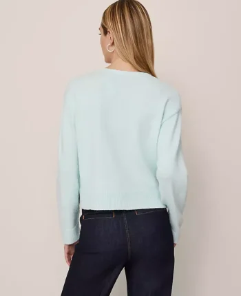 Ann Taylor Sweaters|All Sweaters|V-Neck Cardigan Glass Slipper