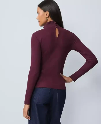 Ann Taylor Tops And Blouses|Weekend Tops|Weekend Collection Ruffle Mock Neck Top Poised Plum