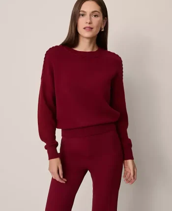 Ann Taylor Sweaters|All Sweaters|Whipstitch Sweater Cherry Pie