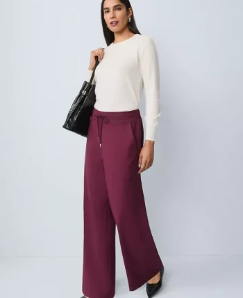 Ann Taylor Pants|Wide Leg Jogger Pant Windsor Wine